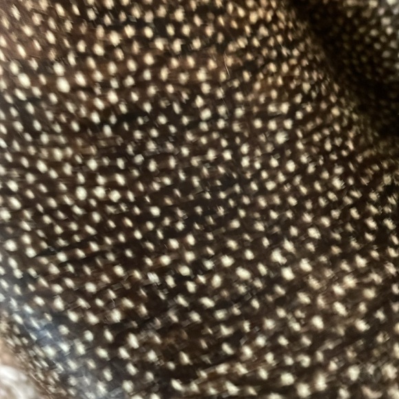 Clogs by Sanita - Picture 2 of 5